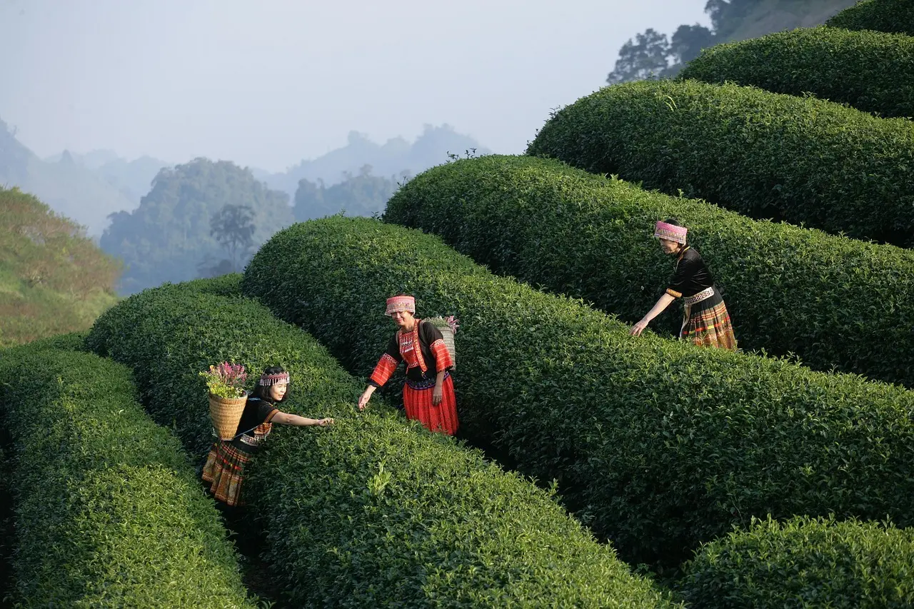 Hvor må man slå telt op? Få styr på reglerne - fra privat grund til vild camping