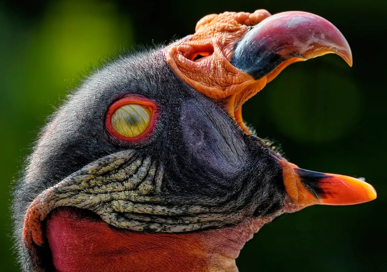 Hvordan ser et blogindlæg ud? 7 enkle trin til et engagerende og læsevenligt indlæg