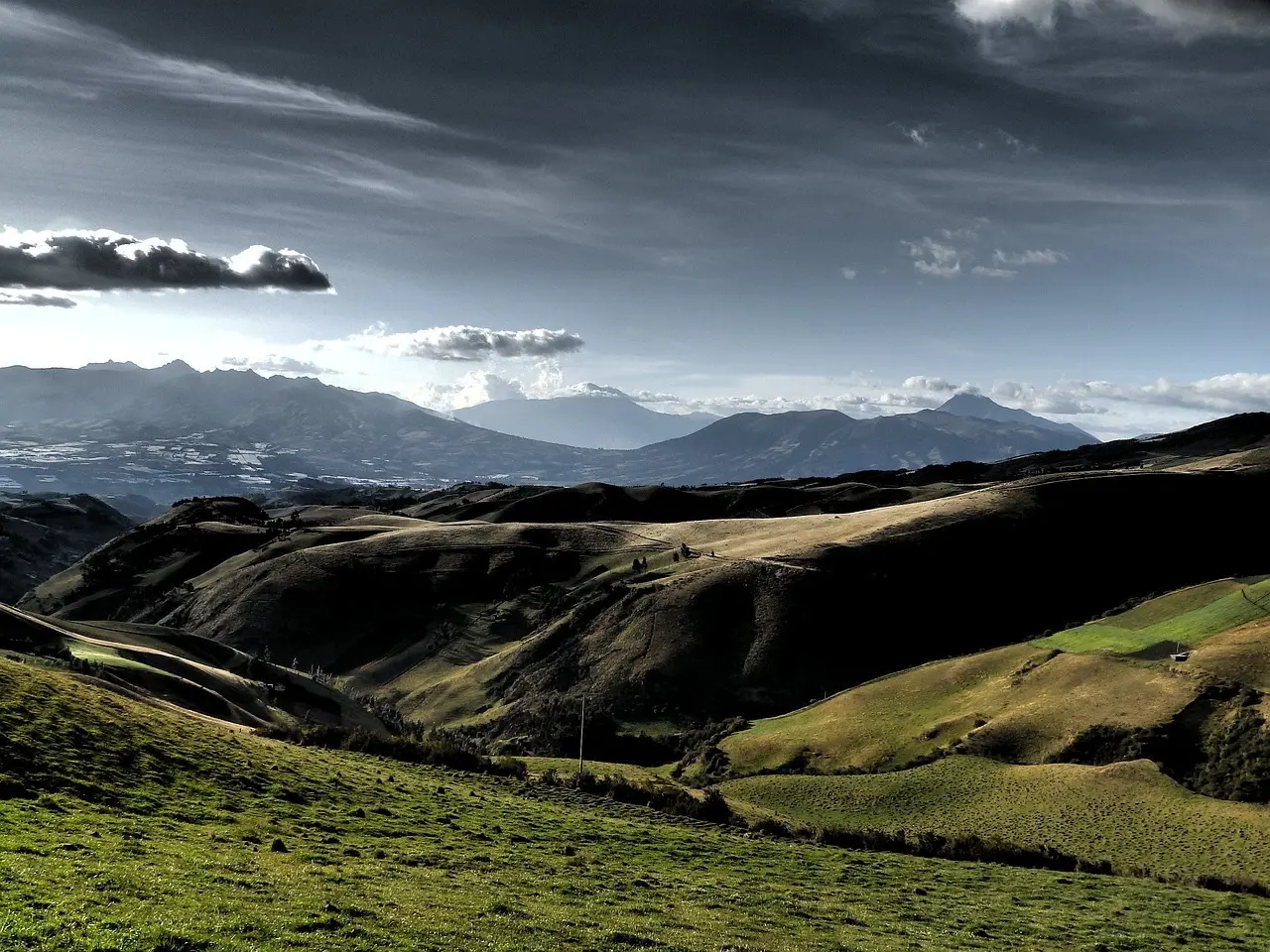 Medvirkende i Brooklyn Nine-nine